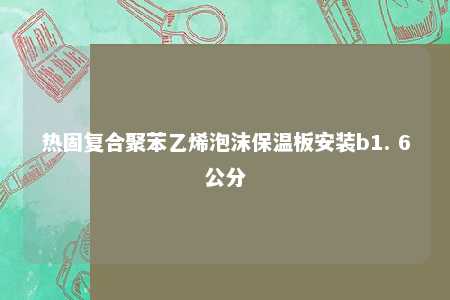 热固复合聚苯乙烯泡沫保温板安装b1. 6公分