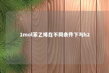 1mol苯乙烯在不同条件下与h2