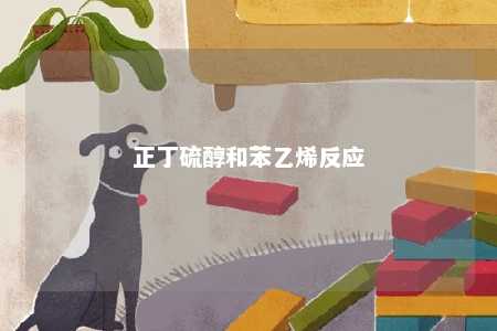 正丁硫醇和苯乙烯反应