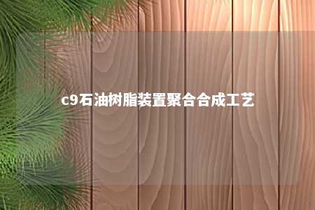 c9石油树脂装置聚合合成工艺