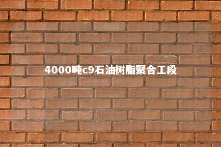 4000吨c9石油树脂聚合工段