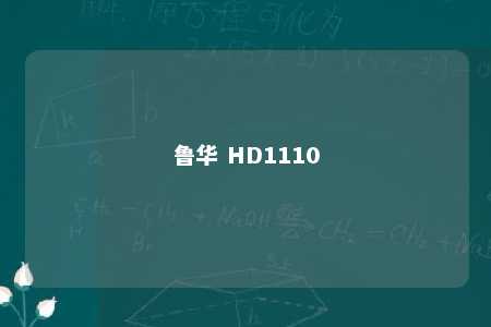 鲁华 HD1110