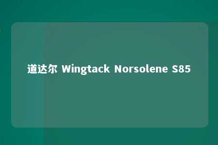 道达尔 Wingtack Norsolene S85