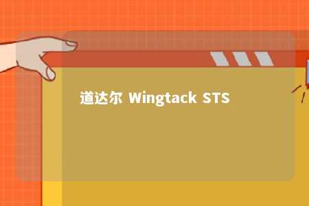 道达尔 Wingtack STS