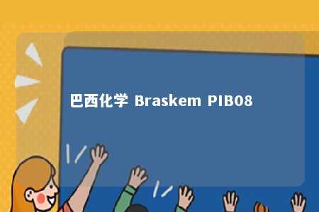 巴西化学 Braskem PIB08