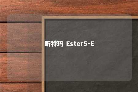 昕特玛 Ester5-E