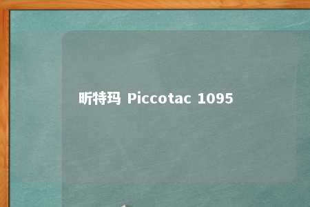 昕特玛 Piccotac 1095