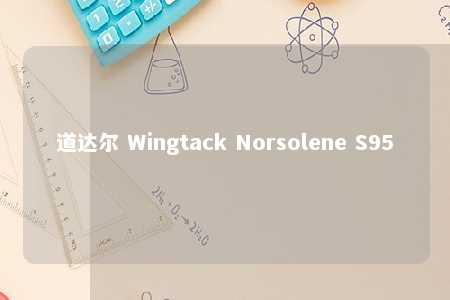 道达尔 Wingtack Norsolene S95