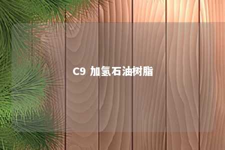 C9 加氢石油树脂