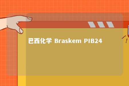 巴西化学 Braskem PIB24