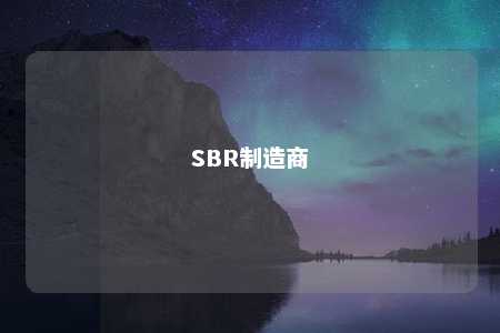 SBR制造商