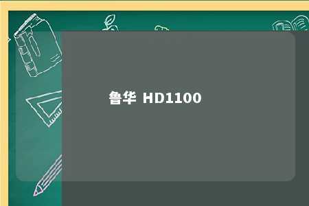 鲁华 HD1100